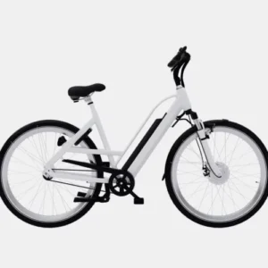 accumsan-nulla bike